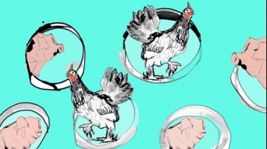 La carrera por producir carne artificial y cómo puede cambiar la forma en la que comemos