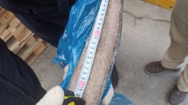 Merluza Negra: Abrieron las recámaras del buque Tai An en Ushuaia y encontraron un desastre ecológico