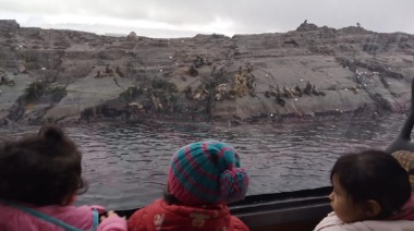 Programa de Turismo Social Municipal: Las infancias de Ushuaia navegaron por el Canal Beagle