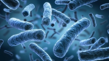 Alerta por la Legionella: Las claves de expertos para que la bacteria no crezca en el hogar
