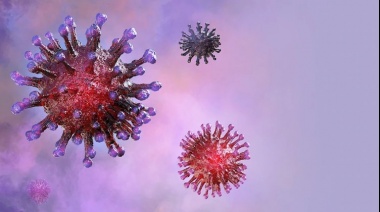 Un fármaco antiparasitario que se vende en todo el mundo podría eliminar al coronavirus en 48 horas