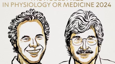 Premio Nobel de Medicina: Víctor Ambros y Gary Ruvkun, galardonados por el descubrimiento del microARN