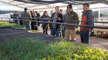 Avances en materia de soberanía alimentaria y producción local