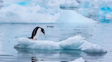 Un día como hoy entró en vigencia el Tratado Antártico: En qué consiste