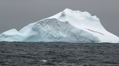 El hielo marino de la Antártida alcanzó su mínimo histórico, alertó un nuevo estudio