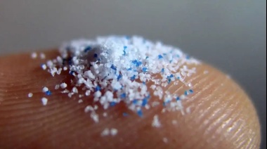 Científicos descubrieron la presencia de microplásticos en testículos de humanos: podría estar afectando a la reproducción