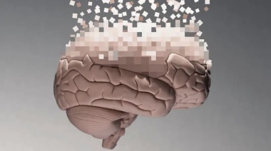 Cómo el cerebro humano se "reconfigura" a partir de los 40 años y cómo mantenerlo saludable a esa edad