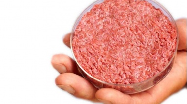 Cómo es la carne sintética que se presentó ayer en Buenos Aires