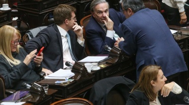 Agenda anti motosierra en Diputados