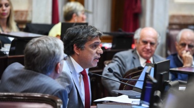 El senador Rodríguez presentó un proyecto para extender la Ley de Promoción Industrial hasta 2073