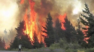 Epuyén no tiene tregua: después del hantavirus, los incendios forestales