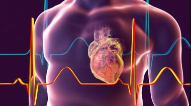 Reanimación cardiopulmonar: El rol vital de ‘el primer respondiente’ que actúa ante un paro cardíaco
