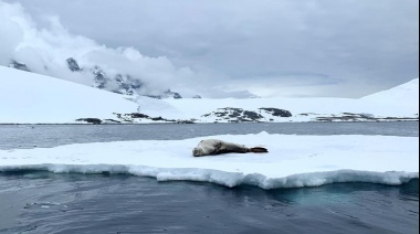 Encuentran vida en un lago enterrado a un kilómetro de profundidad de la Antártida