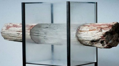 Adiós al cristal: la revolución de la madera transparente de un científico sueco