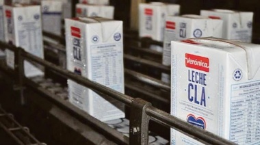 La crisis se extiende a la lechería: Lácteos Verónica pidió un plan preventivo