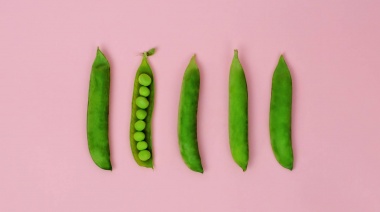 Un estudio dice que se puede retrasar la menopausia con ciertos alimentos, ¿es cierto?