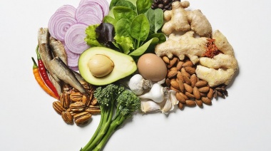 Cinco alimentos para agudizar la memoria y la concentración