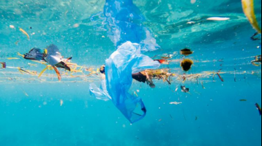 El paraíso turístico en el que hay 7 veces más plástico que peces