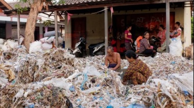 Contaminación por plástico: el país en el que comer huevos puede envenenarte