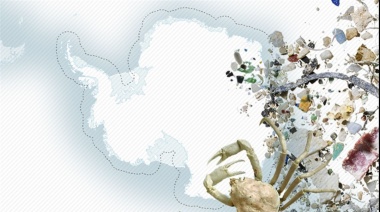 Después del plomo y los cangrejos, los microplásticos invaden la Antártida