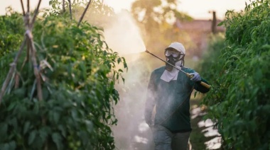 "La gente prefiere no saber qué contienen la lechuga, el tomate o la fresa, porque si supiera, ya no comería"