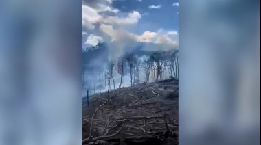 Los incendios forestales en Tierra del Fuego ya consumieron 12 mil hectáreas: “La situación está descontrolada”