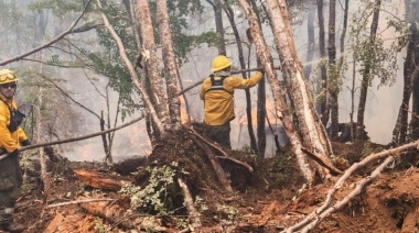 Incendios en Tierra del Fuego: Tildan al Gobierno de ineficaz y piden soluciones urgentes