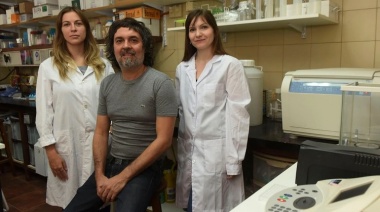 Avance argentino en el estudio del cáncer de hígado