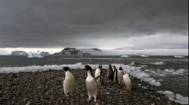 Antártida: temperaturas récord y derretimiento de la banquisa ponen en riesgo el clima global.