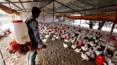 El primer caso mundial de gripe aviar H10N3 en humanos fue detectado en China