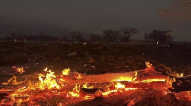 Los argentinos afectados por los incendios en Hawai, entre la desolación y la solidaridad: “Estuve ocho horas sacando a la gente del agua”