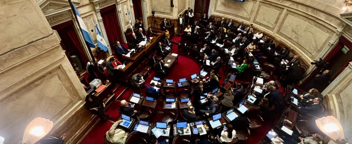 Senado: el Gobierno aprobó la ley de propiedad privada, pero tuvo que quitar otro capítulo