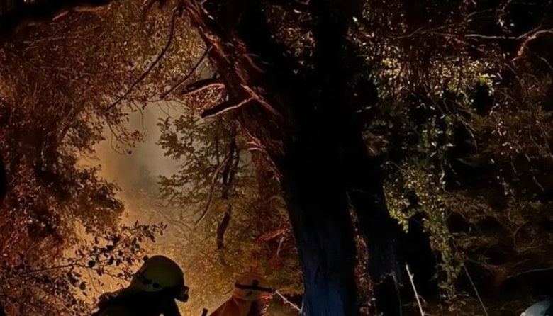 Se incendia el Parque Nacional Los Alerces en medio de las altas ...