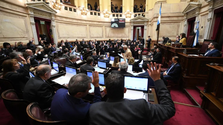 El Senado rechazó varios vetos de Milei y aprobó financiamiento para el Garrahan y universidades