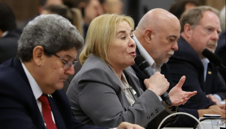 CAME expuso en Diputados la crisis que atraviesan las pymes