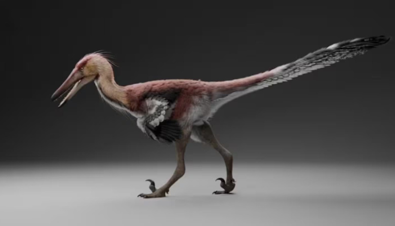Hallazgo histórico en Santa Cruz: descubrieron al “gran ñandú”, una nueva especie de dinosaurio raptor