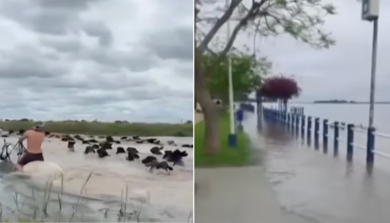 “En 15 días se tapan todos los campos”