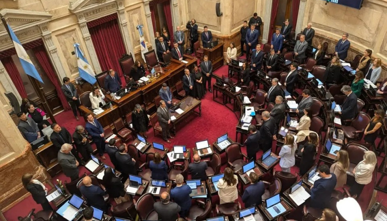 El Senado dio media sanción a la reforma de la Ley de Salud Mental