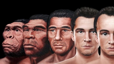 La ciencia ya sabe cómo será el rostro humano del futuro