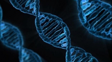 Ocho de cada 10 personas con genes de riesgo para el cáncer ignoran que los poseen.