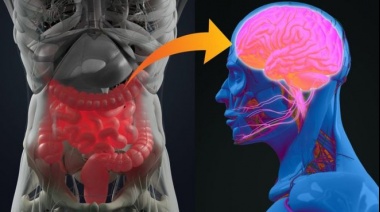 Una investigación reveló que la enfermedad de Parkinson podría originarse en el apéndice