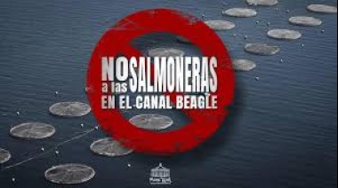 Los cocineros más famosos le declaran la guerra a la instalación de salmoneras en el Sur del país