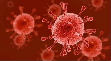 Avance científico: eliminaron el HIV del genoma de animales vivos