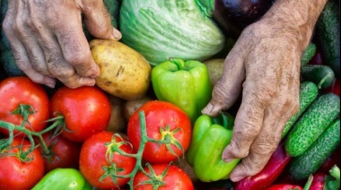 ¿Por qué quienes producen comida son los que más hambre padecen?