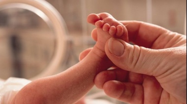 Así es el primer útero artificial que permitirá "renacer" a los bebés (y en qué se diferencia de la incubadora)