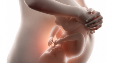 El efecto del estrés durante el embarazo: puede determinar el sexo del bebé