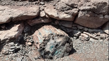 Descubren bosque petrificado con un Georradar