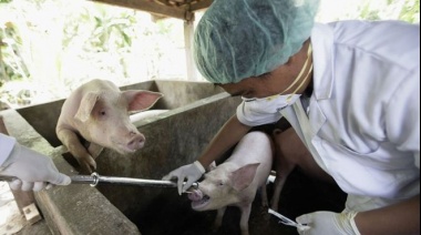 Coronavirus: cómo mutan los virus y cómo prevén los científicos que puede evolucionar el covid-19