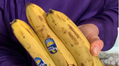 Cómo hacer para que las frutas y verduras duren más
