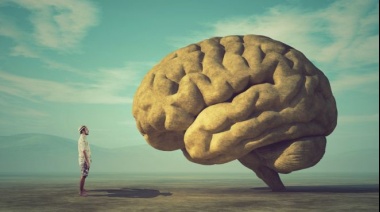 Qué reveló el experimento sobre la inteligencia más grande del mundo